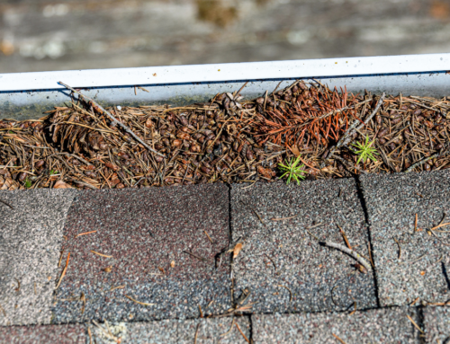 3 Tips to Prepare Your Commercial Roof for Spring